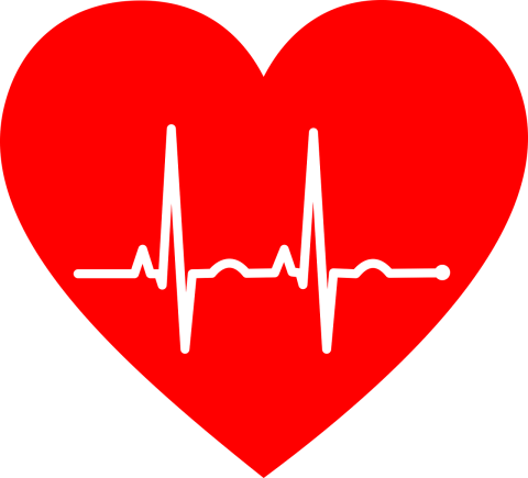 Heart icon with ECG line