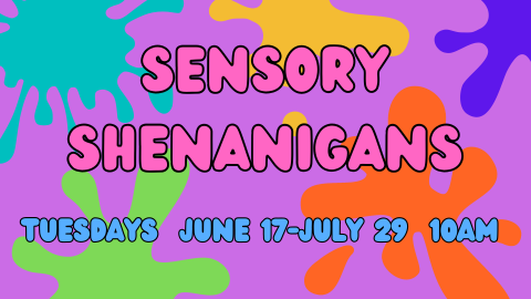 Sensory Shenanigans